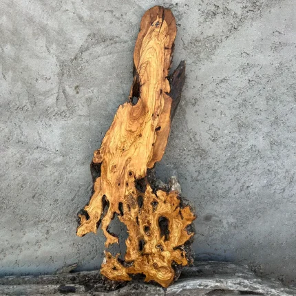 خواص چوب زیتون