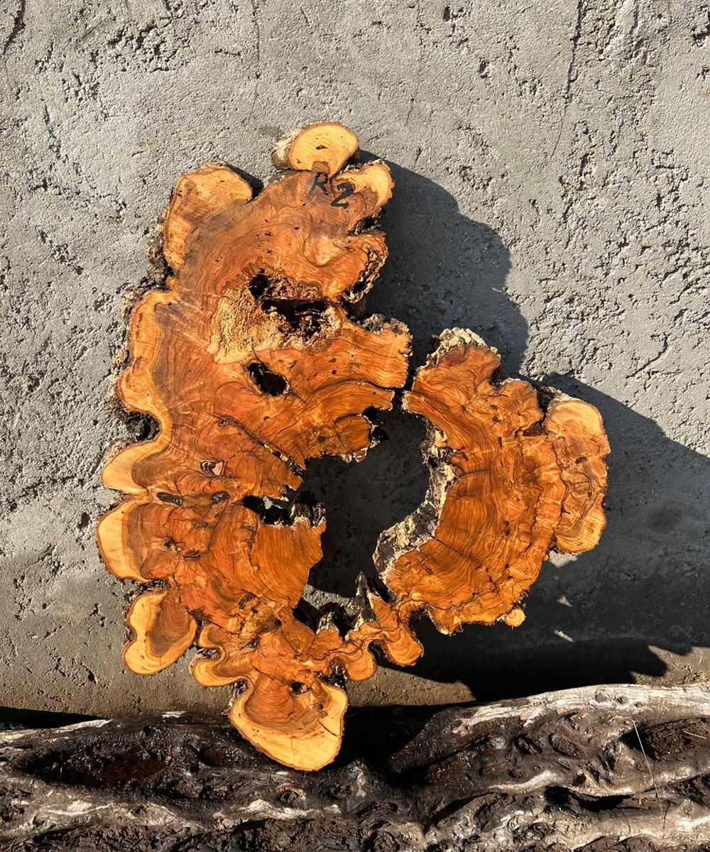 zeitonn 1 فروش چوب زیتون